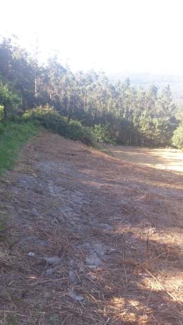 Terreno en soutelo s/n Soutelo