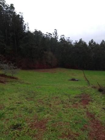 Terreno en soutelo s/n Soutelo