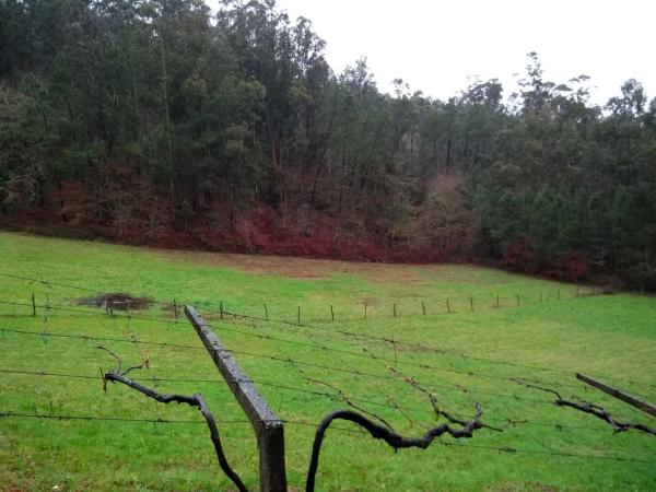 Terreno en soutelo s/n Soutelo