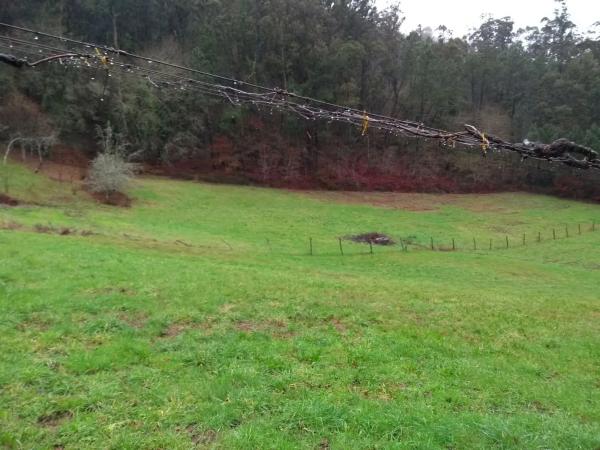 Terreno en soutelo s/n Soutelo