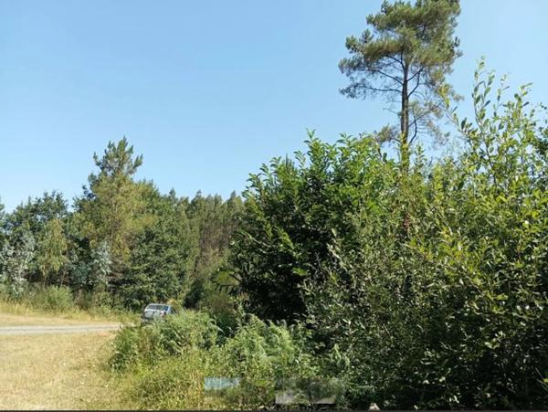 Terreno en lugar de Agueiro s/n