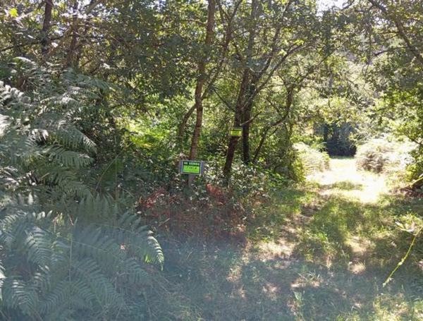 Terreno en lugar de Agueiro s/n