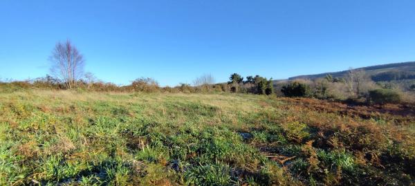 Terreno en Lugar Brea, 7