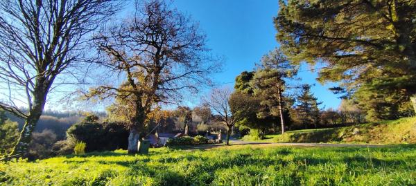 Terreno en Lugar Brea, 7