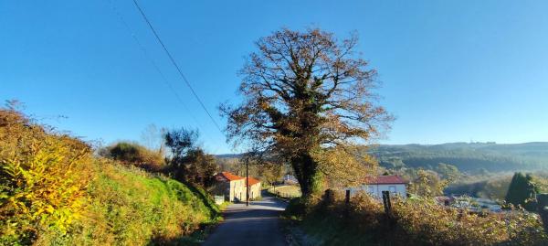 Terreno en Lugar Brea, 7