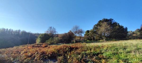 Terreno en Lugar Brea, 7