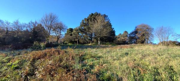 Terreno en Lugar Brea, 7