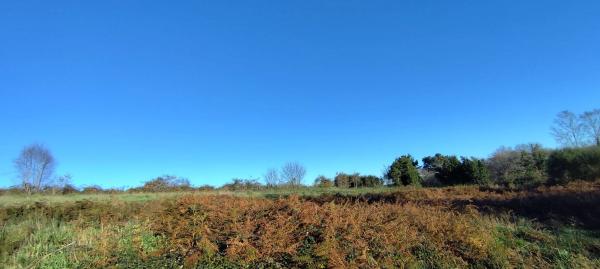 Terreno en Lugar Brea, 7