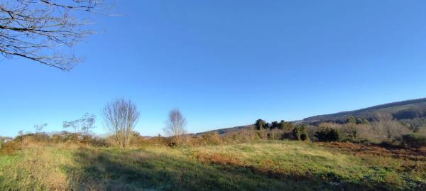 Terreno en Lugar Brea, 7