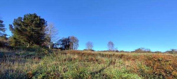 Terreno en Lugar Brea, 7