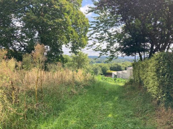 Terreno en Lg Pena Grande Polígono 24 Parcela 311 s/n Sn