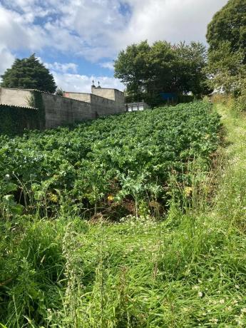 Terreno en Lg Pena Grande Polígono 24 Parcela 311 s/n Sn
