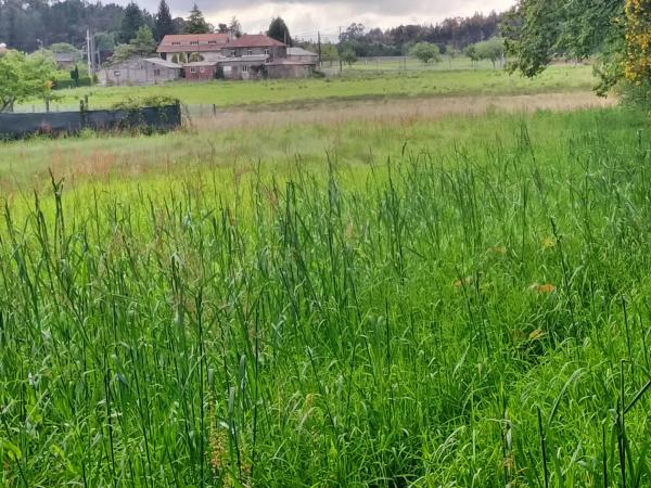 Terreno en Lugar Oleiros, 18