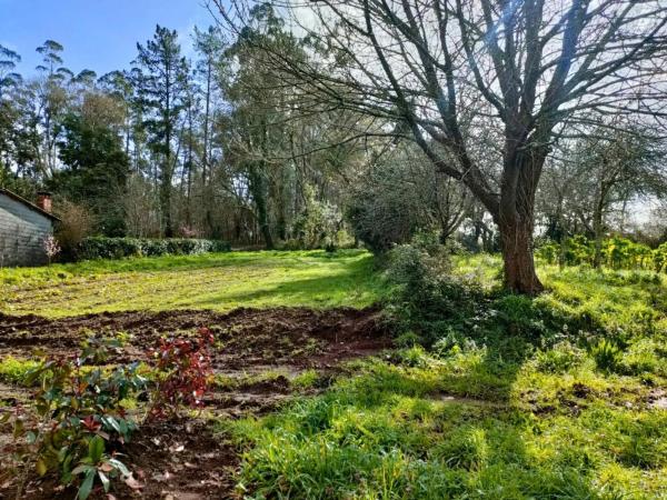 Terreno en camino Sen Nome