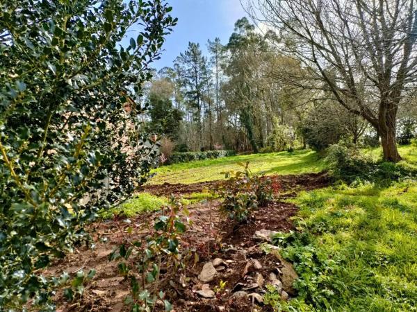 Terreno en camino Sen Nome