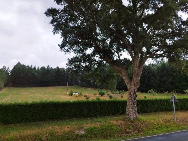 Terreno en Andeaed de Touro s/n