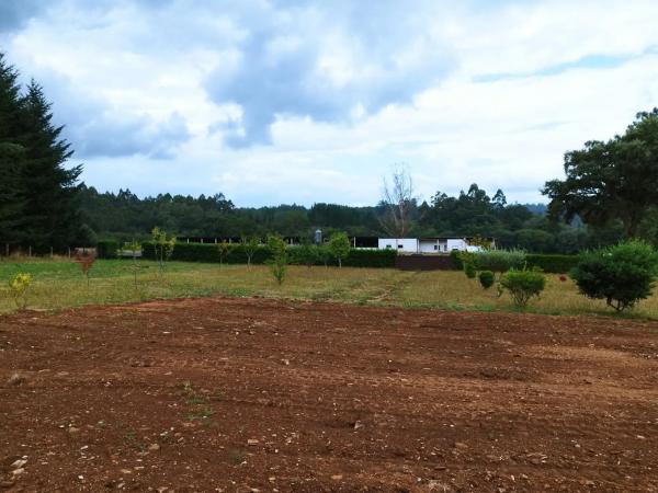 Terreno en Andeaed de Touro s/n