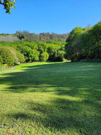 Terreno en Lugar Porto, 1