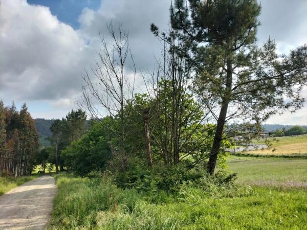 Terreno en Lugar Porto, 21