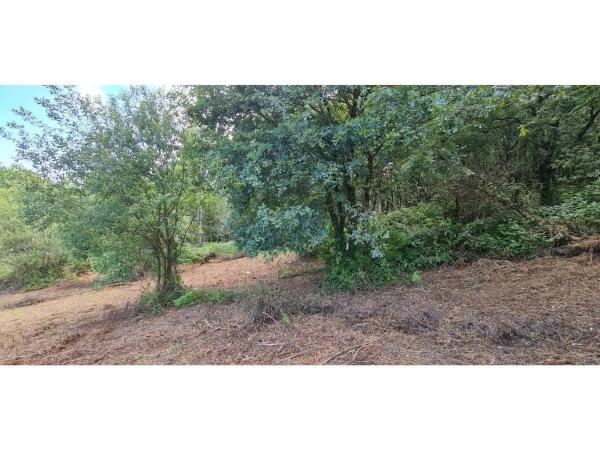 Terreno en Lugar Pedrouzo