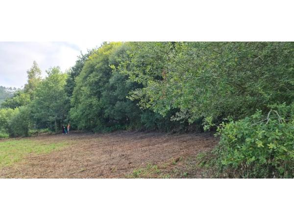 Terreno en Lugar Pedrouzo