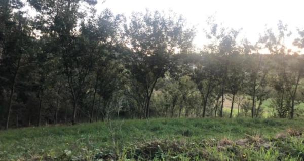 Terreno en Chaian s/n