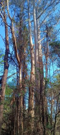 Terreno en Dp-9302, 1