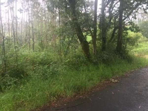 Terreno en Lugar Froxan