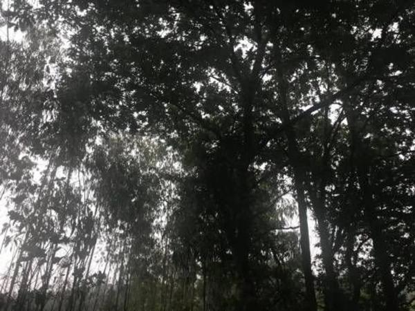 Terreno en Lugar Froxan