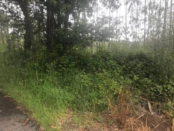 Terreno en Lugar Froxan