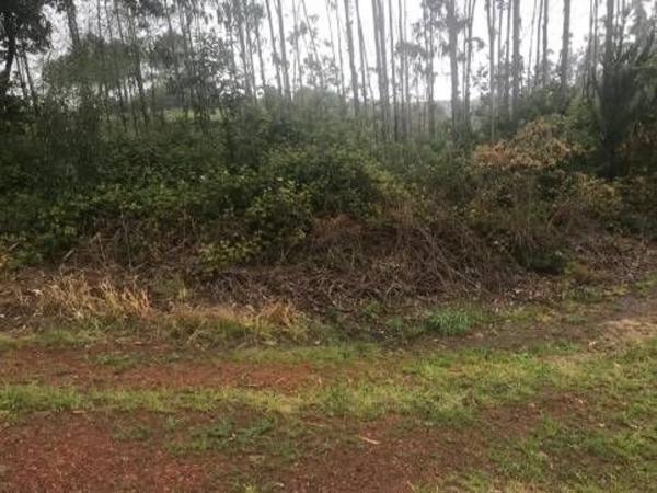 Terreno en Lugar Froxan