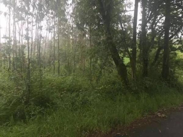 Terreno en Lugar Froxan