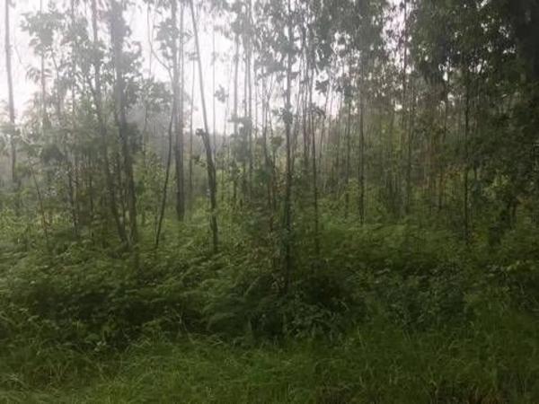 Terreno en Lugar Froxan