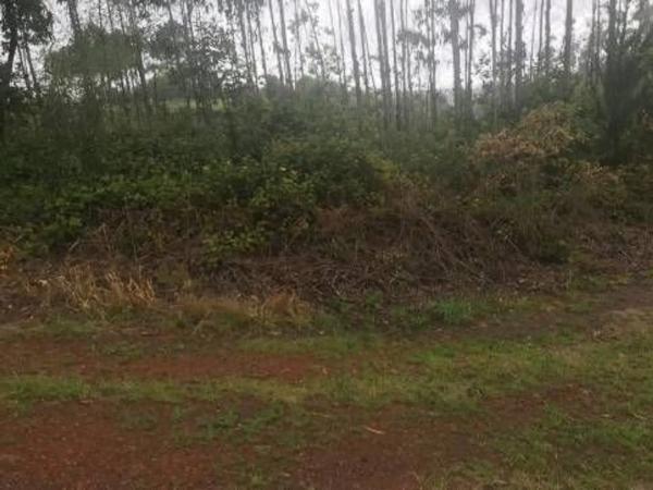 Terreno en Lugar Froxan