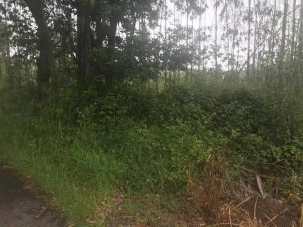 Terreno en Lugar Froxan