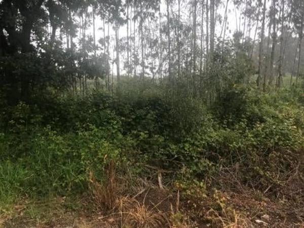 Terreno en Lugar Froxan