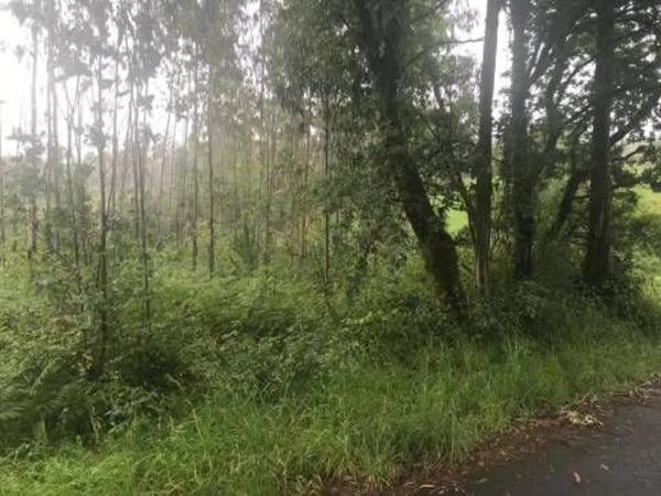 Terreno en Lugar Froxan