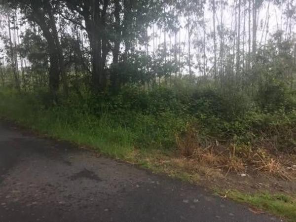 Terreno en Lugar Froxan