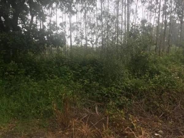 Terreno en Lugar Froxan