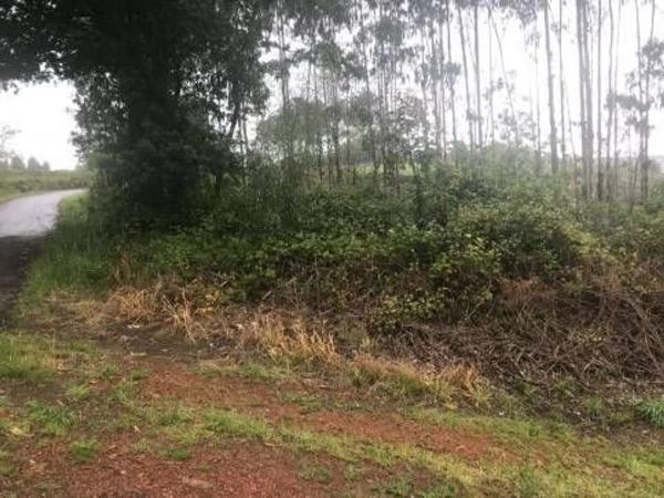 Terreno en Lugar Froxan