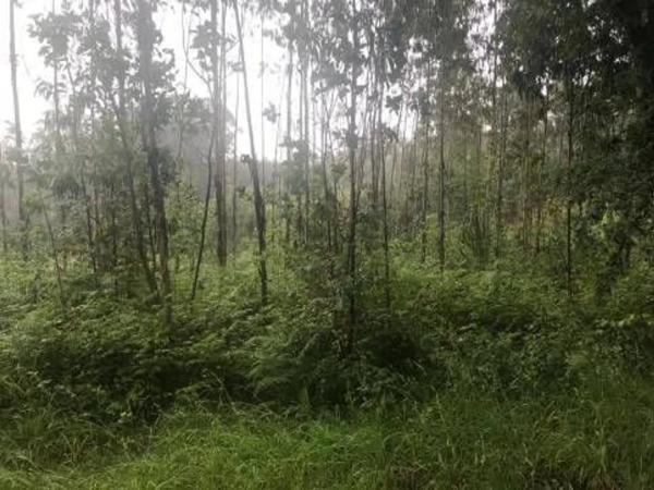 Terreno en Lugar Froxan