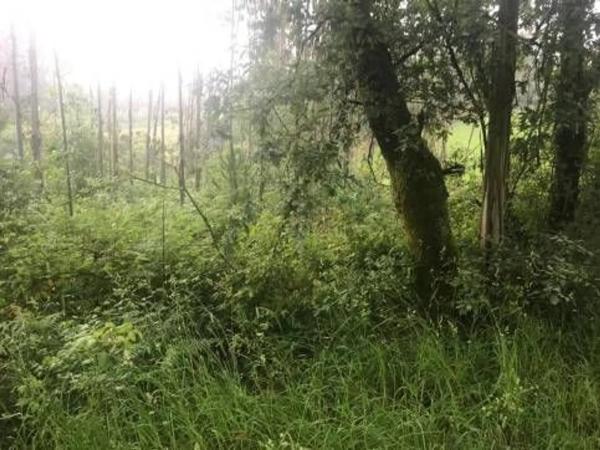 Terreno en Lugar Froxan