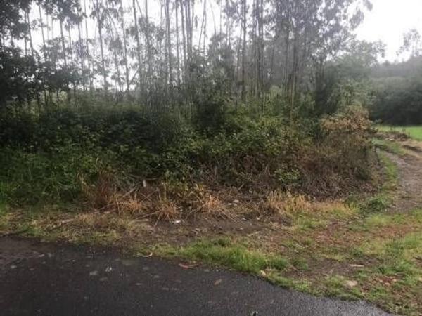 Terreno en Lugar Froxan