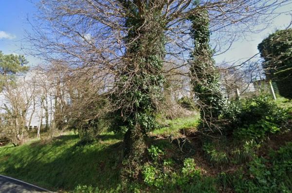Terreno en calle da Pena