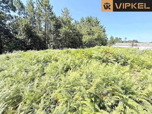 Terreno en calle Chinto Crespo