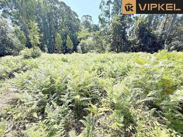 Terreno en calle Chinto Crespo