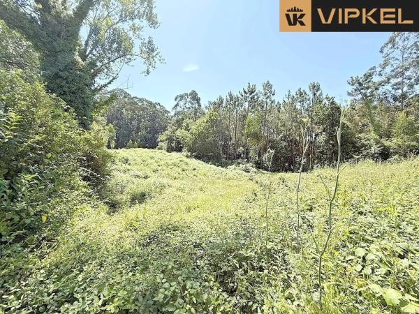 Terreno en calle Chinto Crespo