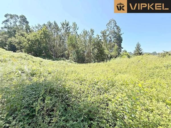 Terreno en calle Chinto Crespo