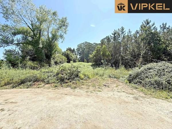 Terreno en calle Chinto Crespo