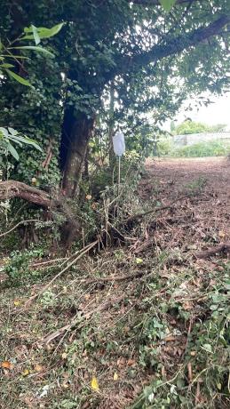 Terreno en Lugar Campo Mantas, 30 a